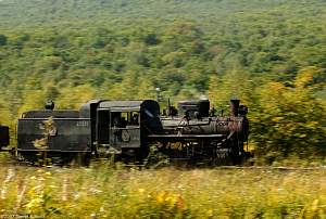 Shuffling towards Lixen from Hongguang